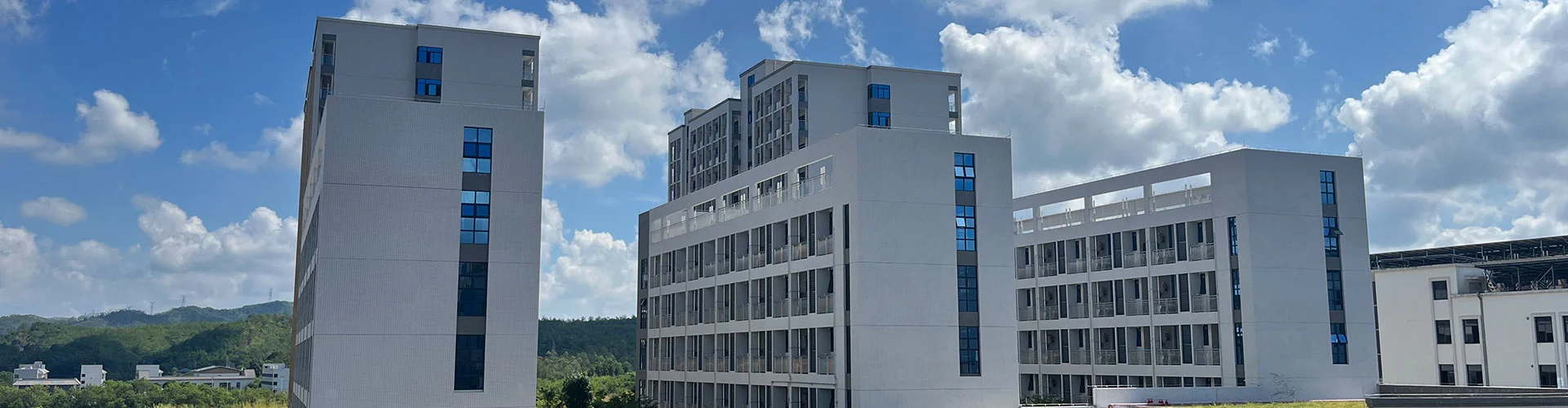 سياسة الخصوصية